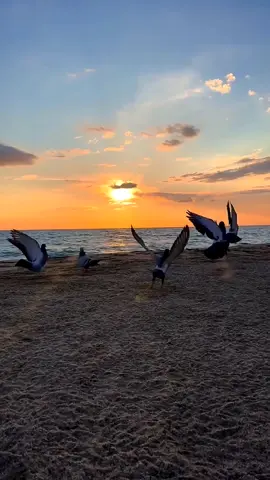 #viraltiktok #cejour-là #naruto #explore #fyp 