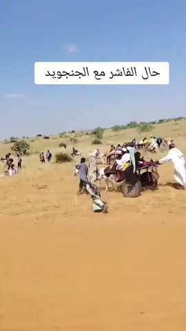 #جاهزيه_سرعه_حسم🔥✊🥀🇸🇩 #ماهريه_عيال_ماهر_سموع_الريم❤🦅🔥🇸🇩 #رزيقات_تراب_الهين_نيالا_دارفور 