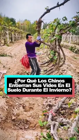 #eating #cooking #delicious #fyp #shorts 