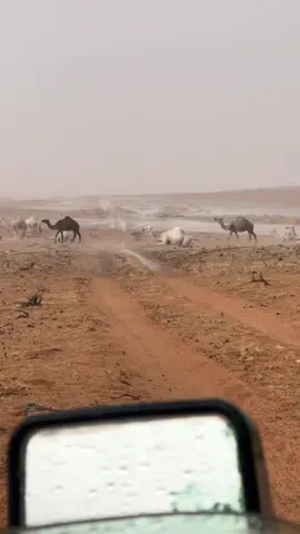 هذا اليوم #في هذا اليوم 