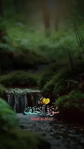 #CapCut ربي توفني مسلما وألحقني بالصالحين #fouryoupage #fyp #foryou @🍂صدقة جارية 🍂 