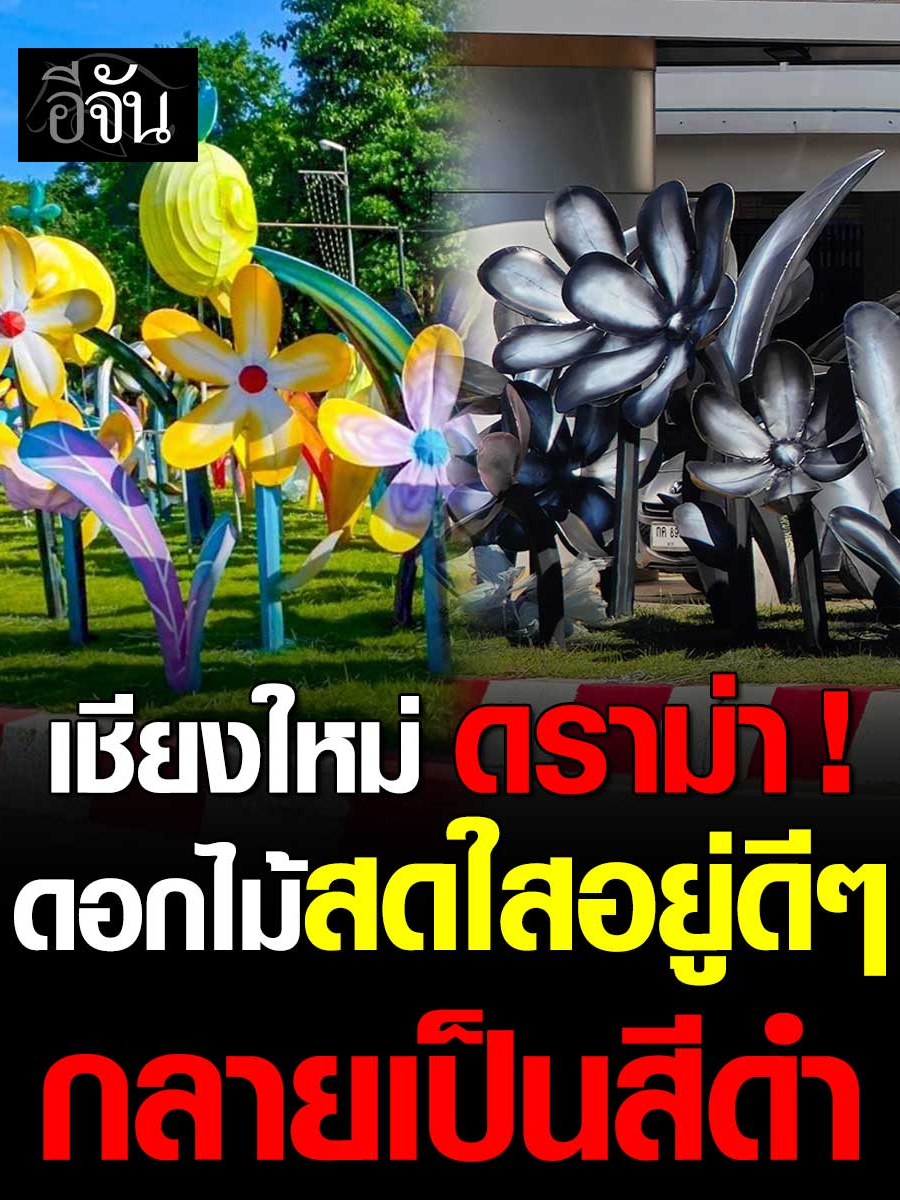 สวยมั้ย ช่วยกันดูหน่อย เชียงใหม่ดราม่า !!! ดอกไม้สดใส กลายเป็นสีดำ ************************************** ถ้วยร้อน  อร่อยได้โดยไม่ต้องต้มน้ำร้อน   สายแคมปิ้ง สายชาบู สายชอบกินหม้อไฟ สายชอบเครื่องเน้นๆ รสชาติเข้มข้น ทั้งหมดนี้ อยู่ในคัพนี้แล้ว เพียง 35 บาท ไม่ต้องเวฟ ไม่ต้องต้ม เติมน้ำเปล่า ร้อนได้เลย    #ถ้วยร้อน  #Hotcup  #แบงค์กิตติพงษ์ มีจำหน่ายแล้วที่ร้านค้าชั้นนำ  อาทิ  7-Eleven หรือ Lotus ทุกสาขา