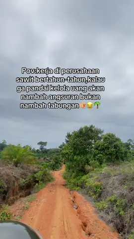 #fyppppppppppppppppppppppp #masukberanda #semuaorangツ #viralvideos #kulisawitkalimantan🌴🌴 