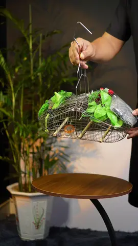 lồng chim khuyên, lồng chim hút mật, lồng chim ốc mít, lồng sâu đầu đỏ #toiyeuchimcanh #chimcanhvietnam #longchimocmit #longchimhutmat #longchimkhuyen 