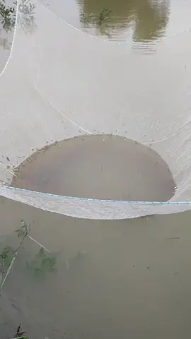 ui ui ui là cá 😍#lũlutmientrung #muataitiktok #xuhuongtiktok 