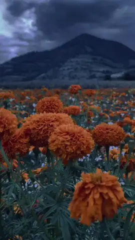 Que raro es el ser humano 🙂