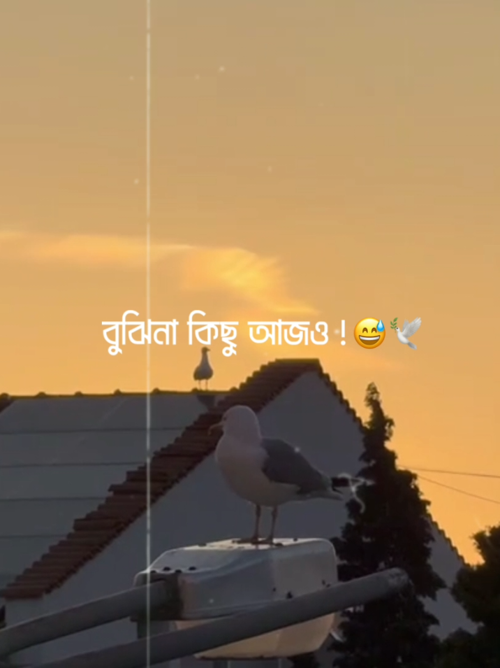 - Feel This Song 😌❤️‍🩹 #lyricsvideo #lyrics_songs #lyrics #lyrics_nayem_890 #foryou 