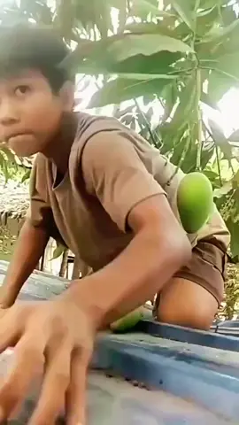 #funnyvideos #memes #fyp #urbanlegend 