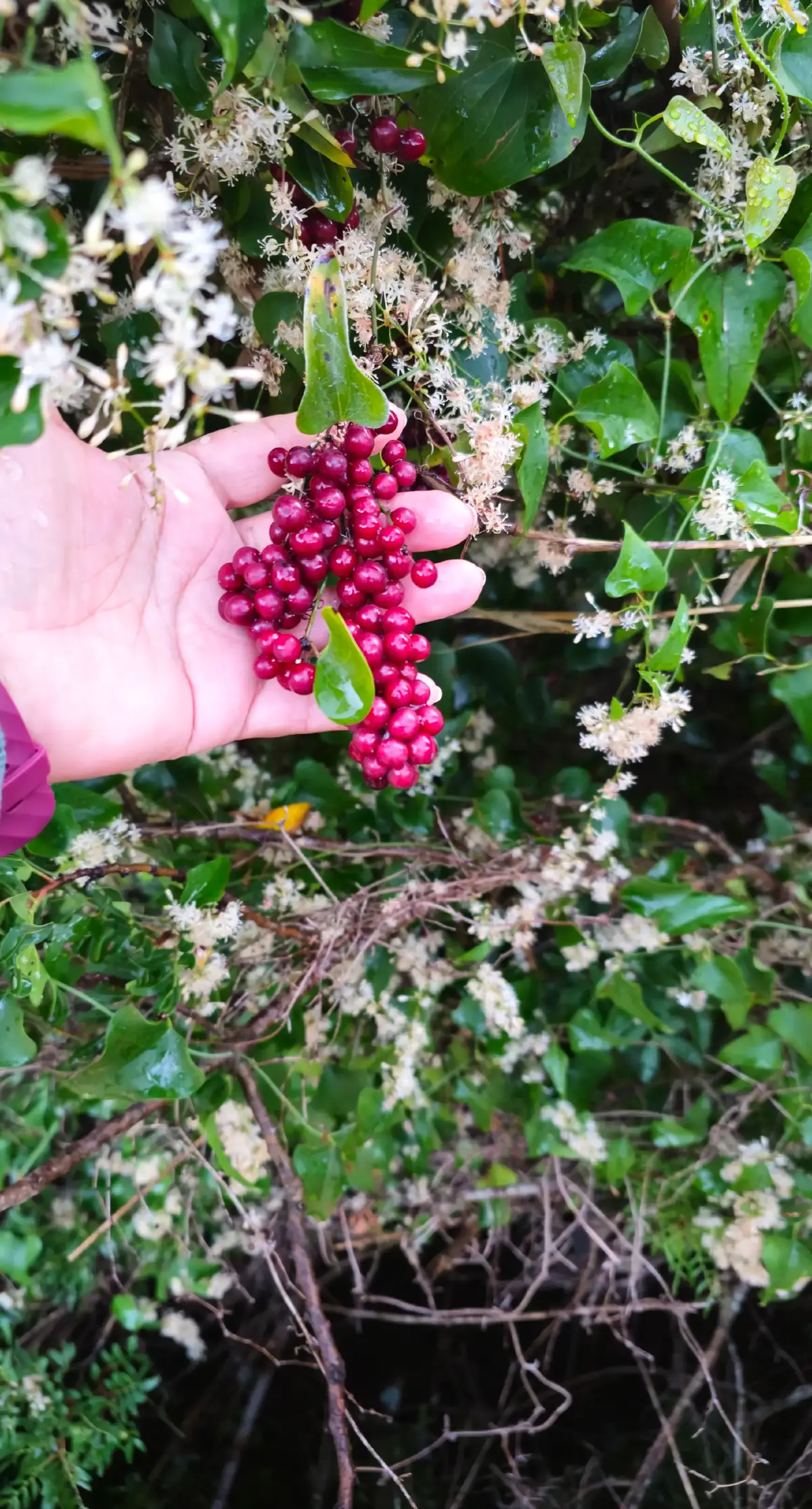 Zi binecuvantata oriunde v-ati afla! #bunadimineata #foryou #goodvibes 