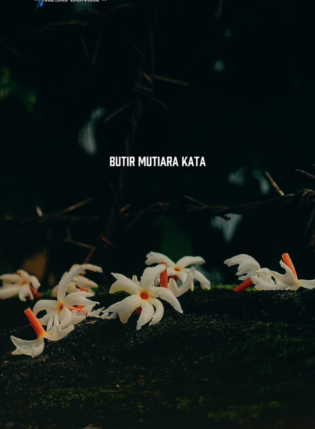 NASIB BUNGA || butir mutiara kata 🎧 [𝐕𝐞𝐫𝐬𝐢 𝐓𝐞𝐦𝐩𝐥𝐚𝐭 𝐊𝐥𝐢𝐤 𝐋𝐨𝐠𝐨 𝐂𝐂] #CapCut #nasibbunga #soundviral #fyp #david_jawara74 