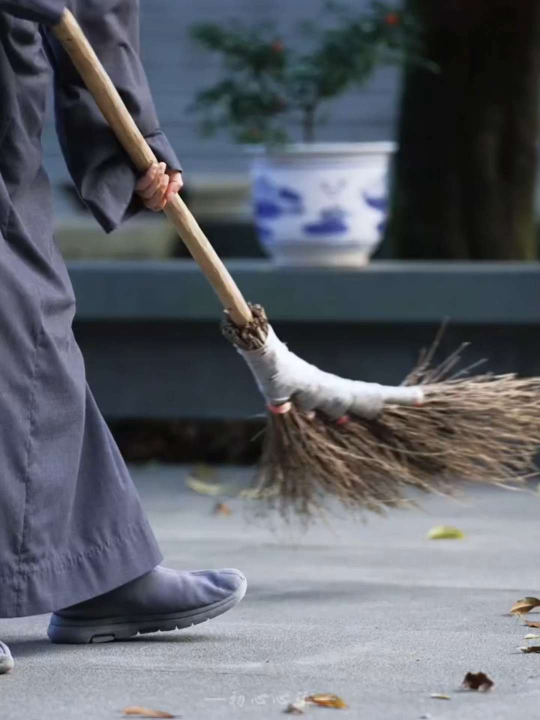 Trưởng thành thật sự là hòa giải với chính mình và làm chủ được cảm xúc ~ #yeuthuong #tuchualanh #tuchualanhchinhminh #yeuthuongvatuchualanh #binhan #songmanhme #manhkhoe #hanhphuc #tudo #phatphapnhiemmau #kimcuonghylac #học