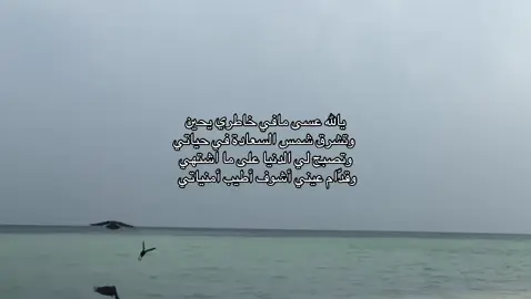 #explore #4upageシ #fyp #ronaldo #tiktok 