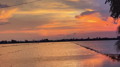 Quê em mùa nước lũ 🥰🏡#canhdepmientay #muanuocnoiquetoi #65cantho #quenha #xh 