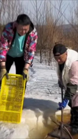 Daily life of fishing🎣🐟 #🔥 #olebrandselect #🐟 #hot #fyp #TikTok #Popular #🎣 #tiktokshop #additive #fishing #fentysuperbrandday 