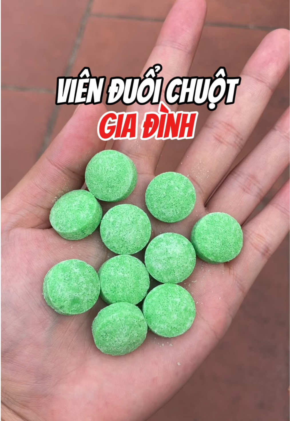 Viên đuổi chuột gia đình hiệu quả nhanh chóng lâu dài #vienduoichuot #thuocdietchuot #giadung #xuhuong #letuanday 