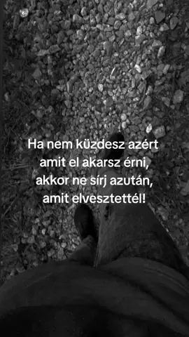 Tarts ki a céljaid mellett! #fypシ #foryoupagе #foryou #motiváció 