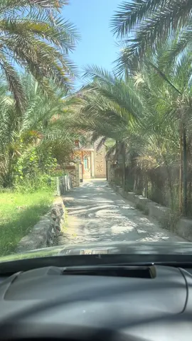 ‏️ اللهم في هذا الصباح ارزقنا سعادة لا تنتهي، ورزقًا لا يُعد، وصحة لا تزول.