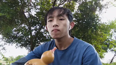 paj txiv duaj 9孔葫芦丝演奏😂🤓