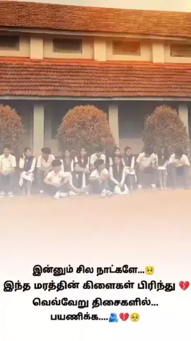 Tag School Friends 🥹 I Miss You Uzuruhal 🥹