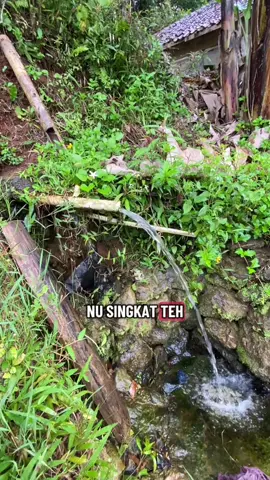 masyaallah , leres pisan🥹 #saung #sawah #vibes #tempodulu #dulu            