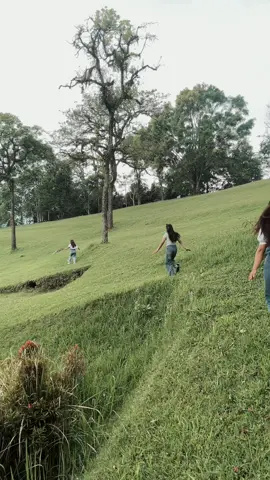 #CapCut #kebunrayabedugul #bali #liburan #fyppppppppppppppppppppppp 