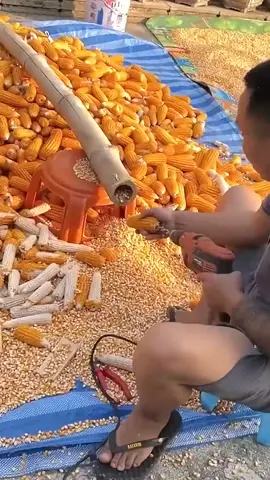 #BalliBotMogis #TrendingReels #TrendingReels #Foryoupage ##FYP #FYP #ViralTikTok #MillionViews #TechMagic #SmartBot #AITrend #RobotVibes #Innovation