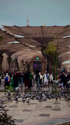 #المدينة_المنورة #Medine #اكسبلورexplore #السعودية🇸🇦 #المسجد_النبوي 