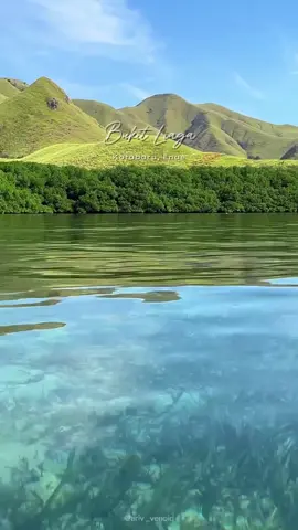 Dari atas Bukit Liaga, kamu bisa lihat langit dan bumi saling berpelukan. Hembusan angin, warna hijau yang menyejukkan, dan damainya Nusa Tenggara Timur, semuanya jadi satu dalam harmoni alam. Cr/IG: @ariv_venoid 📍 Bukit Liaga, Nusa Tenggara Timur #WonderfulIndonesia #ExploreNTT #NusaTenggaraTimur #Ende 