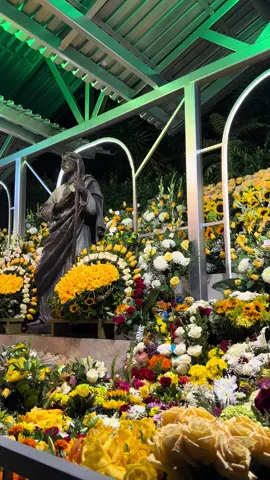 ✨#sanjudastadeo💚 #parati #fyp #felizdia #losangeles 