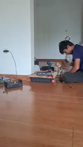 muka bodo amatnya kuat banget #kucingkesayanganku 