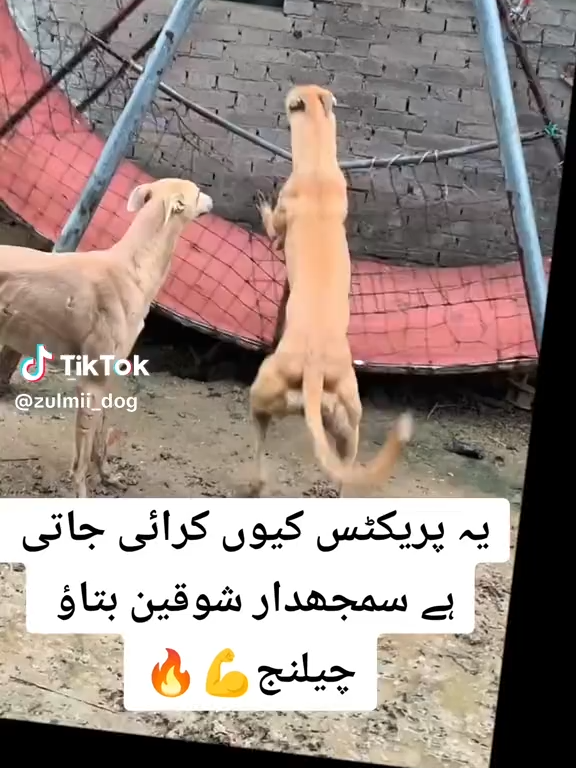 ye practise keun  karai jat😎########@@@@@@@@i he #pppppppppppppfffffffrrrrrrrrrr