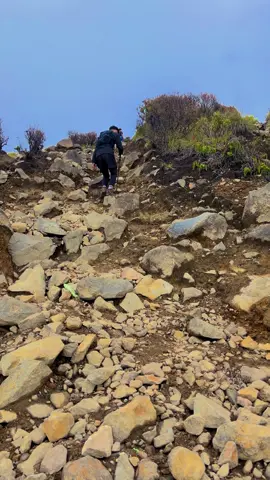 landai nya #sindoromountain #sindoroviakledung 