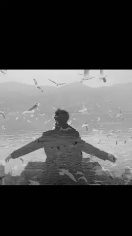 اعوج وماتبقه عدل#عباس_السحاكي#fypシ#viral#foryou#الحظ 