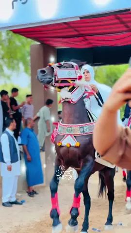تبـارك اللـــّه 🐎❤️#عدسة_حسن_ابوشوفة📷🥇 #تبارك_الله #خيل_وخياله🐎  @الفنان أيمن الدرسي  @الفنان أيمن الدرسي  @أحمد سليمان اللويطي 