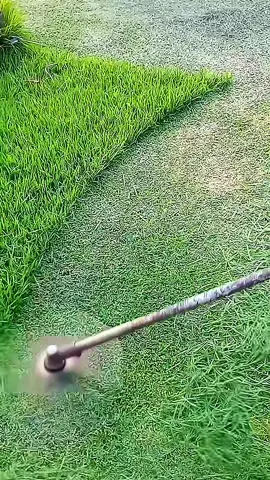 Oddly Satisfying Sensations | Mowing The Lawn Compilation ASMR | #Perfect cutt! 🍀💚  #lawntok #grasstok #gardentok #landscapersoftiktok #asmr #oddlysatisfying #Satisfying #mowing #lawn #garden #clean #CleanTok #landscape #gardening #lawncare #mowingthelawn #lawnmower #brushcutter #lawntiktok #lawnsoftiktok #lawnmowing #lawns #grasstiktok #cuttinggrass #satisfaction #spring #goviral #original #viral #viralvideos #viralvideo #viral_video #tiktok #tiktokviral #viraltiktok #viralvideotiktok #fyp #foryou #foryoupage #fypシ゚ #fypp #fyppppppppppppppppppppppp #parati #fürdich #pourtoi #paratii #paratiiiiiiiiiiiiiiiiiiiiiiiiiiiiiii #capcut #duet #loop #trend #trending #funny #checkthisout #lookatthis #creatorsearchinsights 