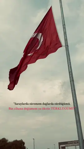 #türkiye🇹🇷 #vatan#şanlıbayrağımız #29ekimcumhuriyetbayramı 