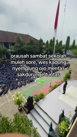 #tsm3 #fyp #skiba #masukberanda 