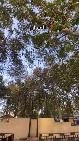 السلام عليكم ورحمة الله تعالى وبركاته ✅محل تجاري بموقع استراتيجي جيد جدا  📍بوسط مدينة تلمسان  مساحته 11 متر مربع بالعقد و الدفتر العقاري               بسعر 1 مليار قابل للتفاوض                       🔵🔵🔵🔵 🥇صفحتنا مختصة في التسويق العقاري ✔️ اعلانات عقارية  ‏imotlemcen #promotion_immobilie #بيع_و_شراء_عقارات #tlemcen_hema_w_chan #الاستثمار_في_الجزائر #تلمسان_جوهرة_الغرب                      