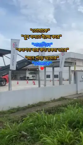 শুকতারা#ফরইউতে_দেখতে_চাই @❤️‍🩹⃝✿࿐ধ্রুবতারা ❤️‍🩹⃝✿࿐ @rashedforhan3 