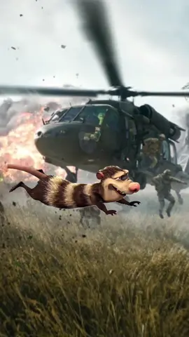 #Meme #MemeCut #CapCut #pourtoi #bf6 