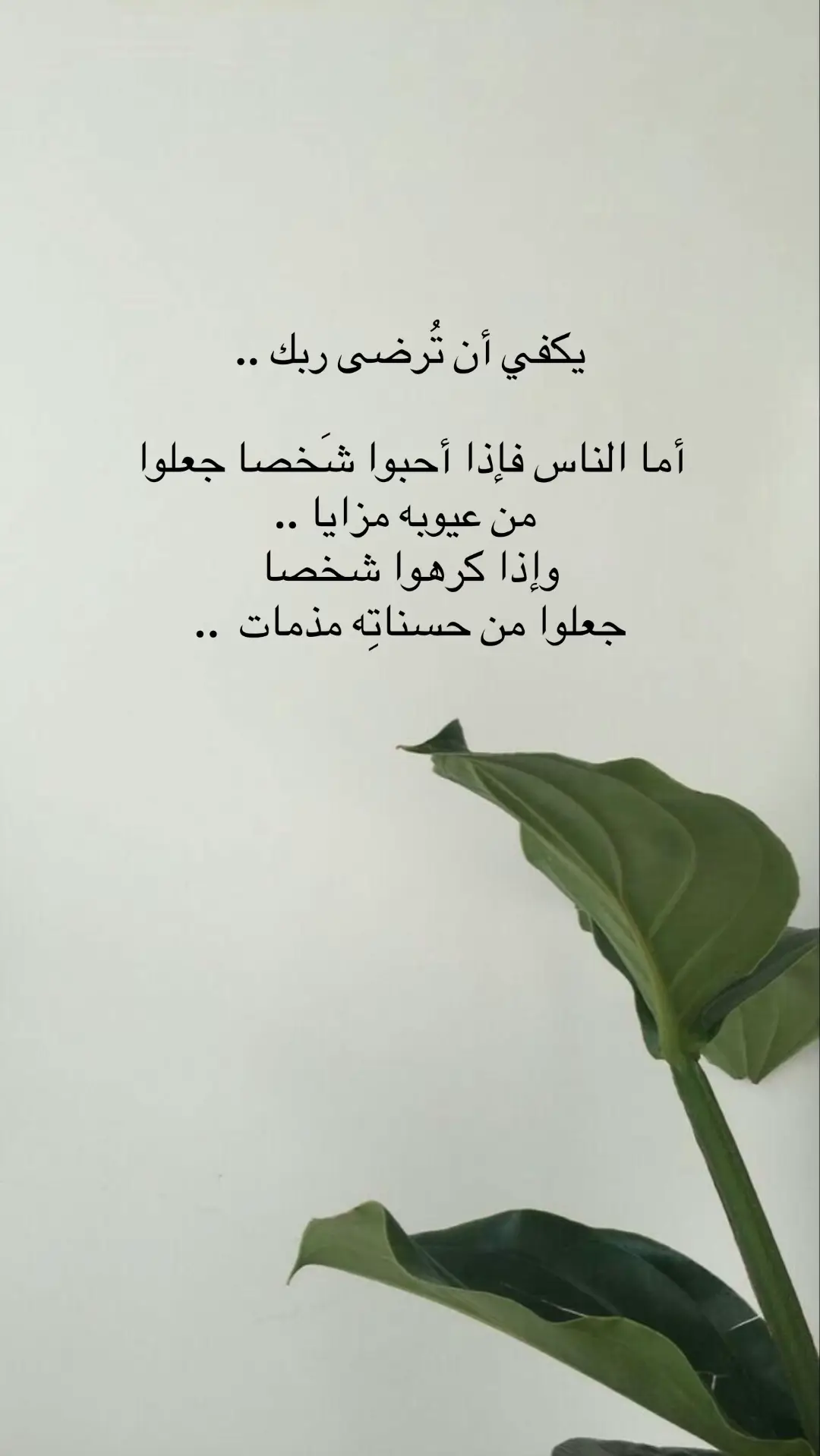 @المصورة كلثوم محمد|الطايف 📸 #حسابي_الثاني💜 #مصورة_زواجات #اميرة_الكون #اكسبلورexplore 