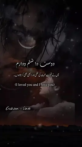 ~this beguiling lyrics  ♡ 🎶♡ . . #persian #lyrics #farsi #romanticsong  #fyppppppppppppppppppppppp 