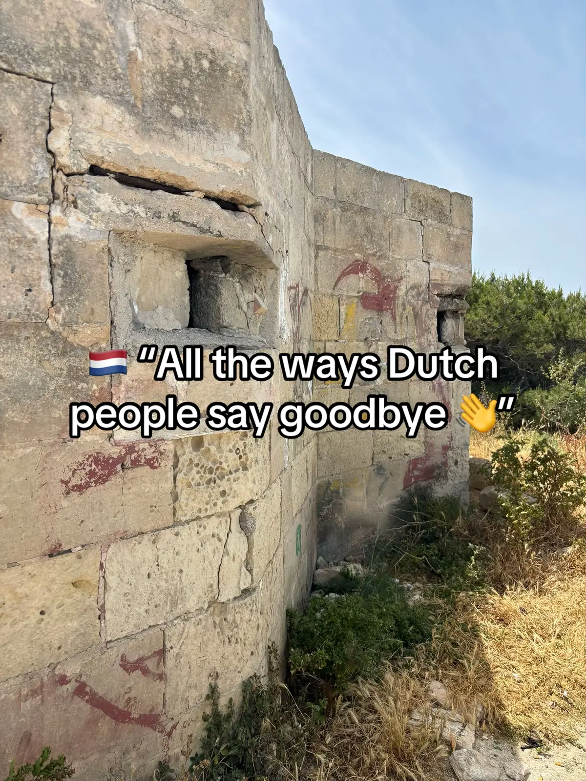 #dutcheasy #dutchtiktok #tiktoklearning #relatable #LanguageLearning 