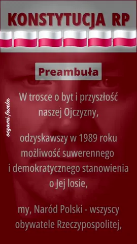 #oczami_faceta #polska #konstytucja 