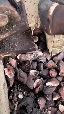 #قصص_من_التاريخ👑 #لايك_متابعه_اكسبلور #صعدوو_ءڪڪسبلور_للايڪ_متابعه #مشاهير_تيك_توك_مشاهير_العرب #محضورين_من_الاكسبلور_والمشاهدات 