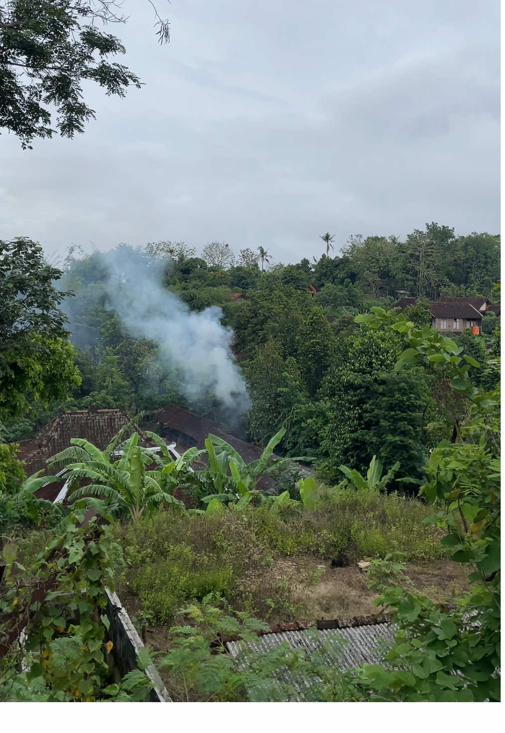 Wilayah Padukuhan Mendang kene ki dalane neng duwur gunung yo lur, dadi iso ngerti gendenge tonggone ono sing sengkat 😅 #gunungkidul #suasanapedesaan #desa #kampung #jogja24jam 