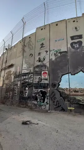 🇵🇸 Eye On Palestine The West Bank wall, built by Israel along the Green Line and through parts of the West Bank, is described by Israel as a security barrier, while Palestinians see it as a symbol of apartheid. Stretching over 700 kilometers and separating thousands of Palestinians from their land, the wall has been transformed by Palestinian artists into a canvas of art expressing freedom and resistance.   جدار الضفة الغربية، الذي بنته إسرائيل على طول الخط الأخضر وداخل أجزاء من الضفة، تصفه إسرائيل بأنه حاجز أمني، بينما يراه الفلسطينيون رمزًا للفصل العنصري. يمتد لمسافة تزيد على 700 كيلومتر ويفصل آلاف الفلسطينيين عن أراضيهم، وقد حوّله الفنانون الفلسطينيون إلى لوحات فنية تعبّر عن الحرية والمـ ـقاومة.