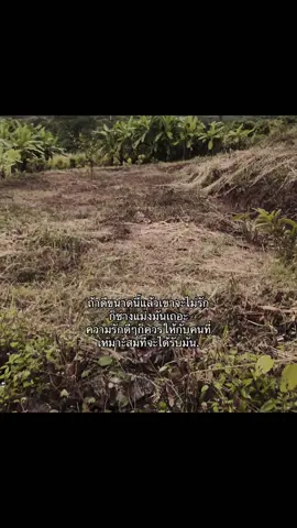 #fyp #เธรด #เปิดการมองเห็น #ฟีดดดシ 