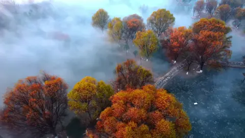 Sông chưa kịp tỉnh, mà lòng người đã say. Say vì sương, vì núi, hay vì một ánh mắt từng phản chiếu trong khói sương ấy? 📍Vị Hà – con sông lớn nhất ở vùng Thiểm Tây, Trung Quốc. #xoaiuc #tinhyeu #khoanhkhackhiyeu #canhdeptrunghoa #trunghoa 