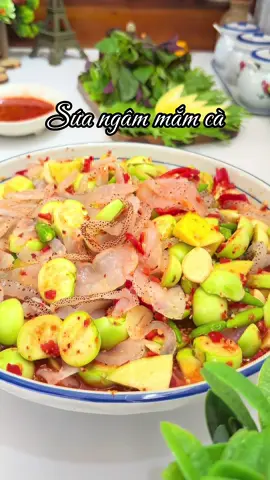 Trời nắng hanh hanh triển ngay bát sứa ngâm mắm cà, cuốn cải mèo chấm bát mắm cay cứ phải gọi là 10 điểm k có chê. #HaoThichVaoBep #thíchvàobếp #thíchnấuăn #nấuăncùngtiktok #suangammamca 